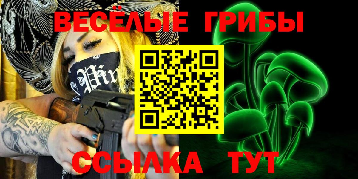 Псилоцибиновые грибы Psilocybe Тверь