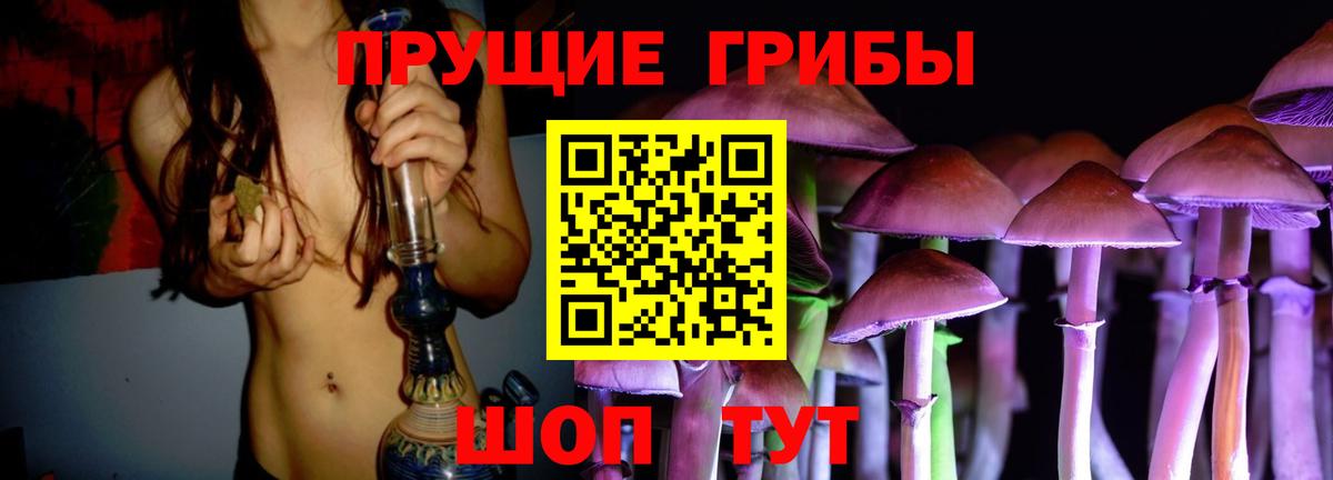 Псилоцибиновые грибы Psilocybe  Псилоцибиновые грибы мицелий  Вход с VPN  Тверь 